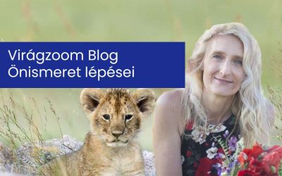Önismeret lépései
