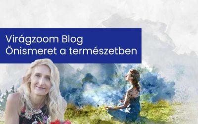 Önismeret a természetben – Művészetterápiás séta